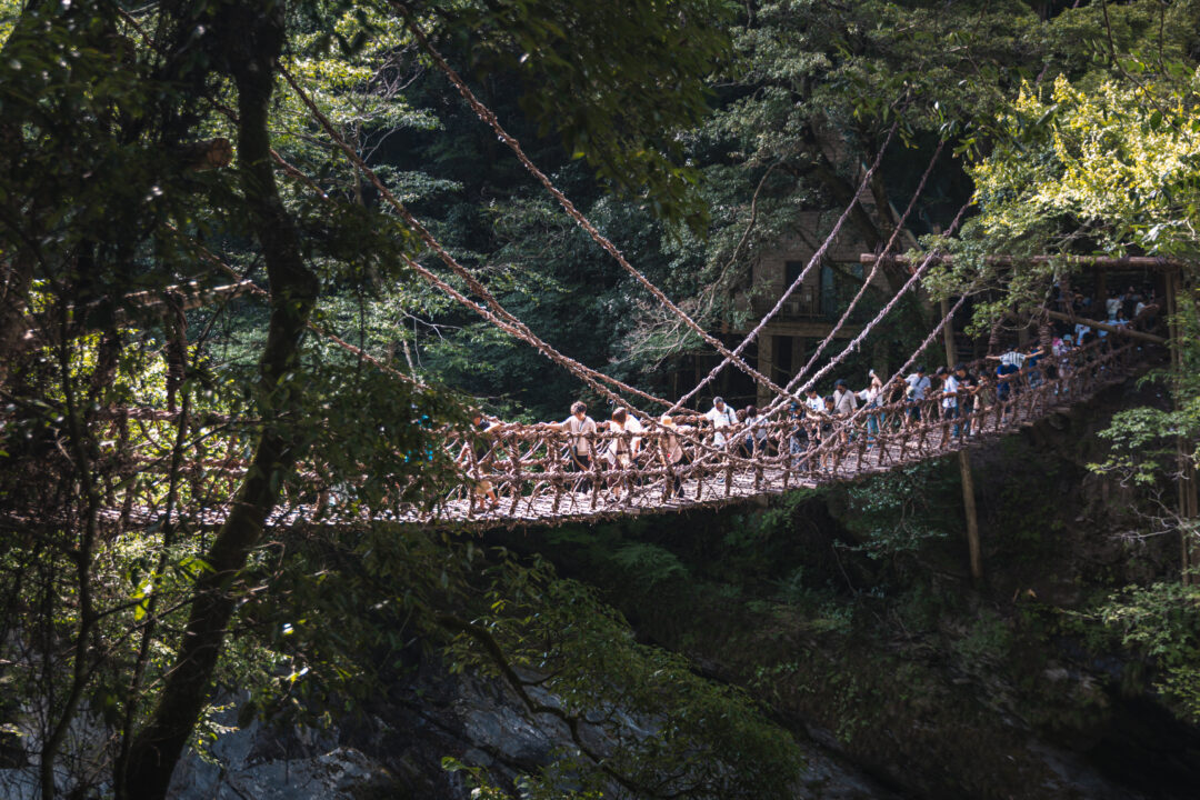 Vine Bridge in the Iya Valley