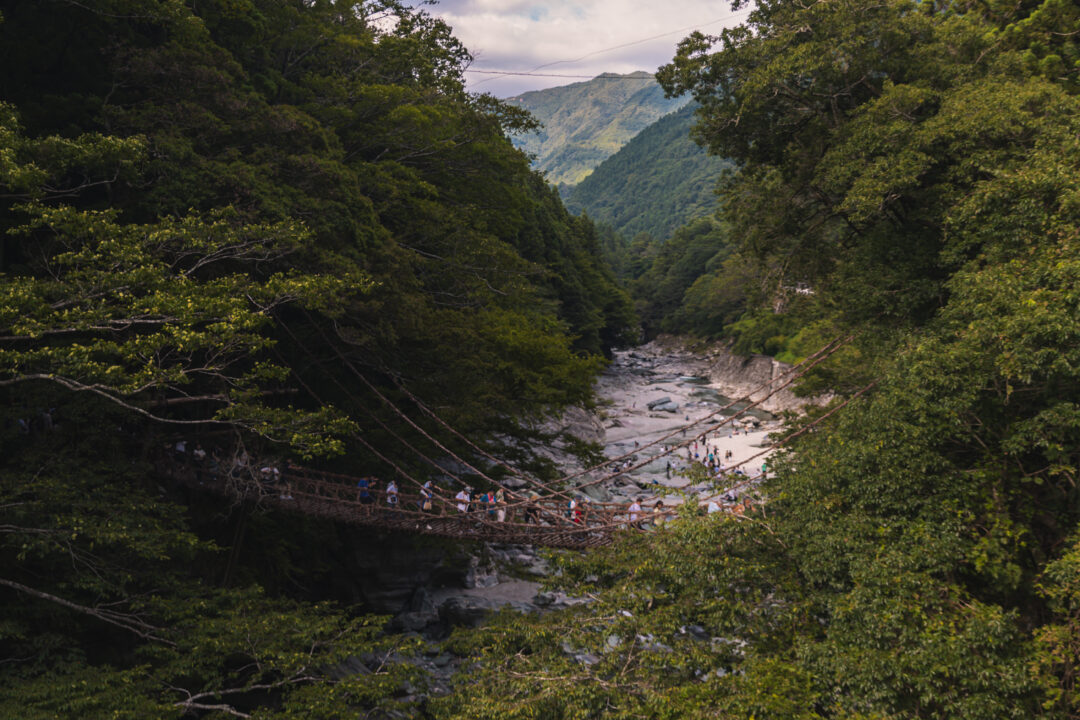 Vine Bridge in the Iya Valley